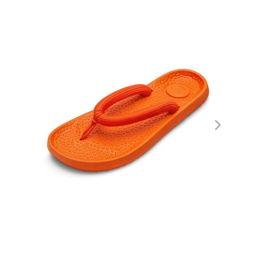 NWT allbirds Unisex Sugar Zeffer 2 - bouyant orange - Women 8 / Men 6
